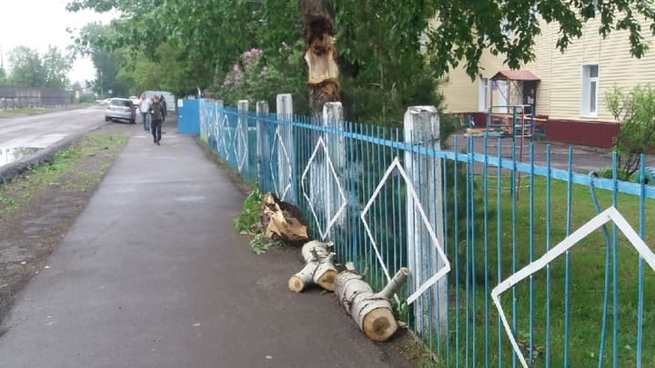 Ураган в Барнауле уронил дерево возле детского сада Фото №2