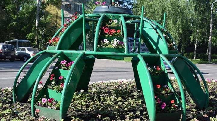 Цветы в клумбах и вазонах начали высаживать в Барнауле Фото №1