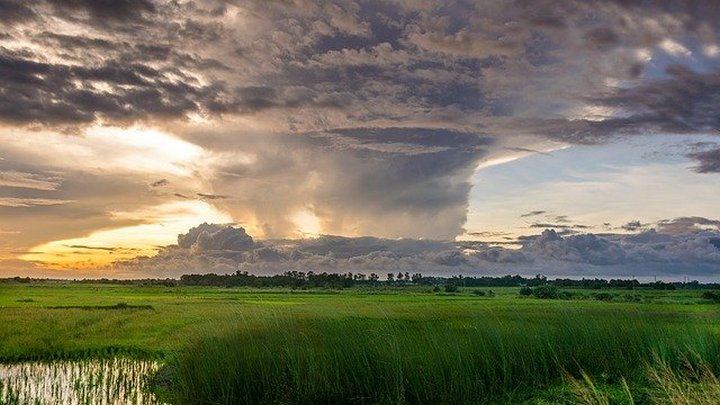 Ураган вновь ударил по Алтайскому краю Фото №1