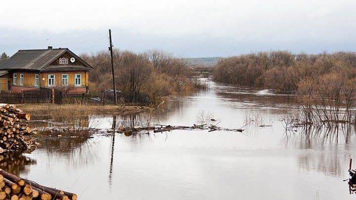 В барнаульском Затоне введен режим повышенной готовности из-за паводка Фото №1