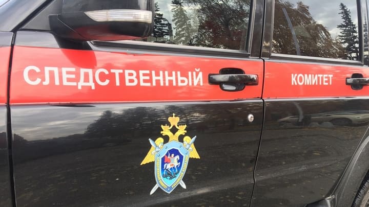 Маленькая девочка выпала из окна в Бийске Фото №1