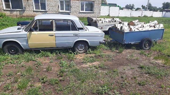 Трех друзей-лесорубов задержала полиция на Алтае Фото №1