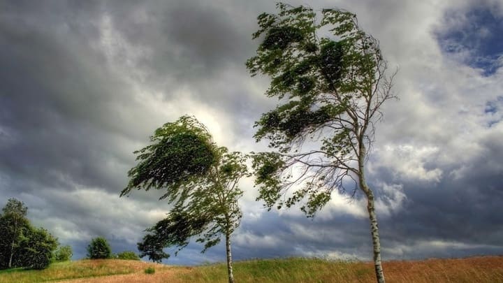 Штормовое предупреждение: в Алтайском крае возможен ураганный ветер Фото №1