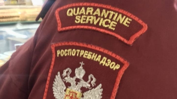 Мэрия Москвы рассказала о подробностях нового локдауна Фото №1