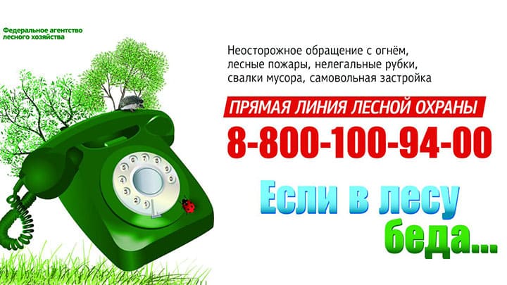 В Алтайском крае отменен противопожарный режим, но некоторые запреты остаются Фото №2