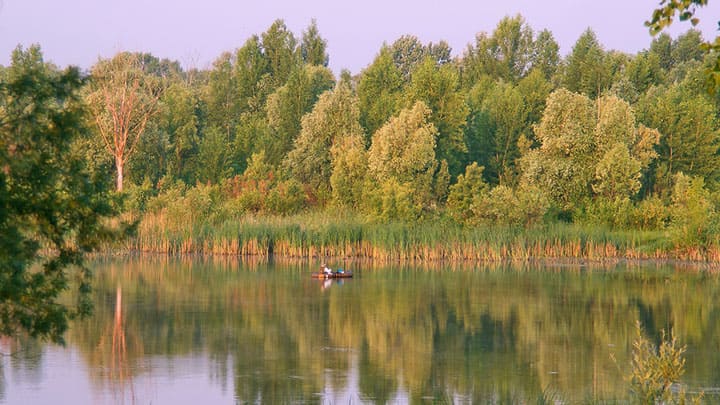 В Затоне снят режим повышенной готовности Фото №1