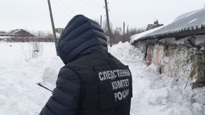Руководство заринского сельхозкооператива будут судить за смерть четверых рабочих Фото №1