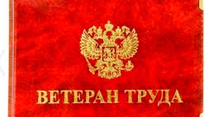 Выплаты ветеранам труда и труженикам тыла увеличили в Алтайском крае Фото №1