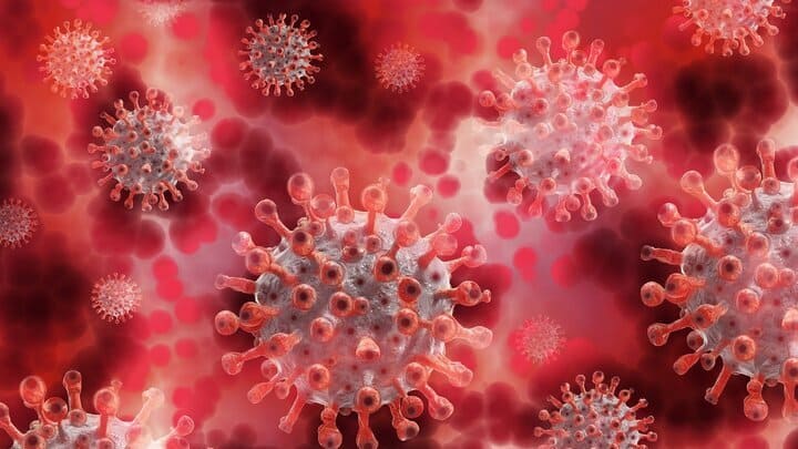 199 заражений, 15 смертей: ковид собирает кровавую жатву в Алтайском крае Фото №1