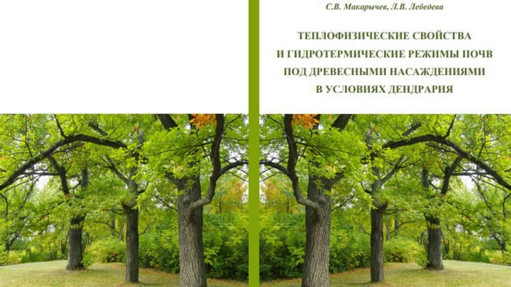Алтайские учёные рассказали, как надо заботиться о городских деревьях Фото №1