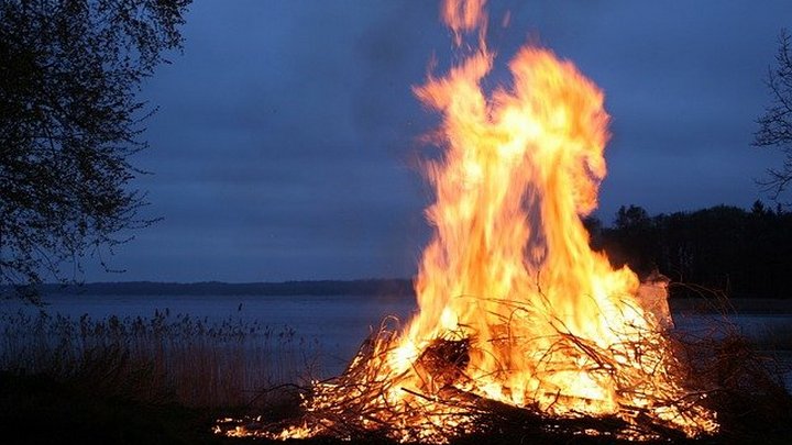 Россиянам разрешат жечь костры на дачных участках Фото №1