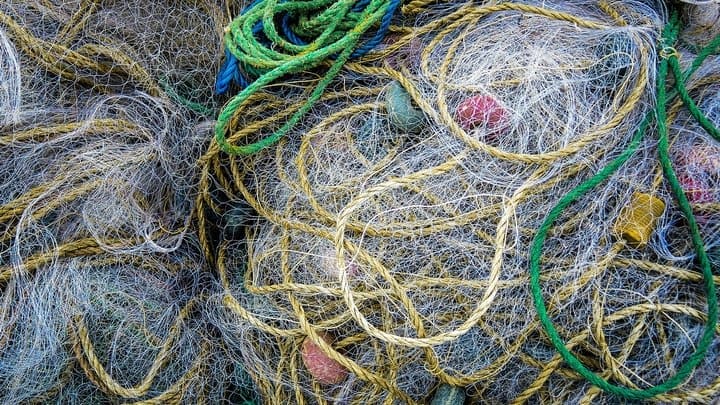 В Алтайском крае задержали рыбака, ловившего краснокнижную стерлядь Фото №1