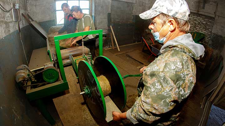 Паклю из Алтайского края поставляют в европейскую часть России Фото №2