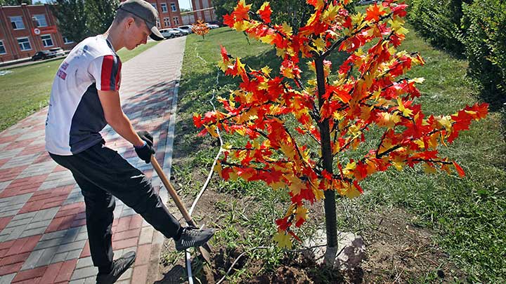 Решают сами люди: как в Алейске благоустраивают общественные территории Фото №2