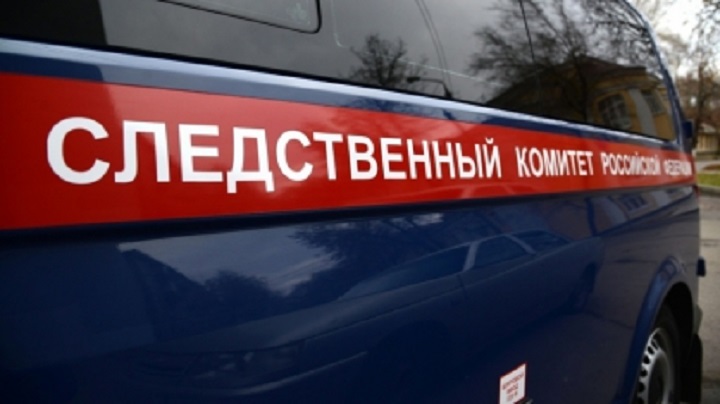 Следком начал проверку по факту обнаружения в Новоалтайске останков девочки Фото №1