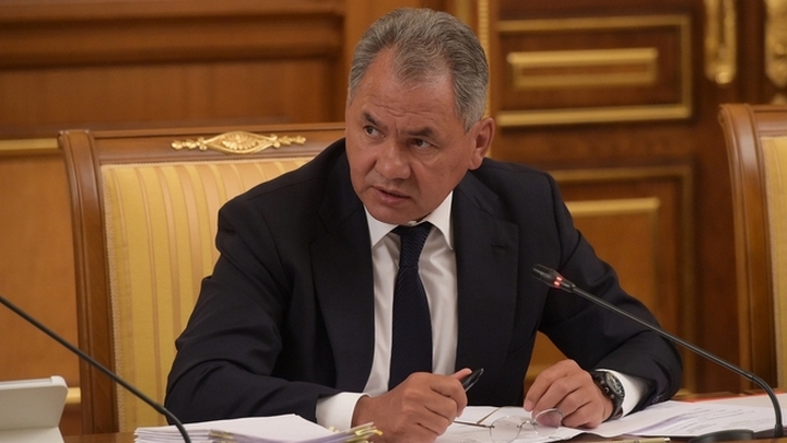 Подростку из Алтайского края помогли благодаря аукциону работ Шойгу Фото №1