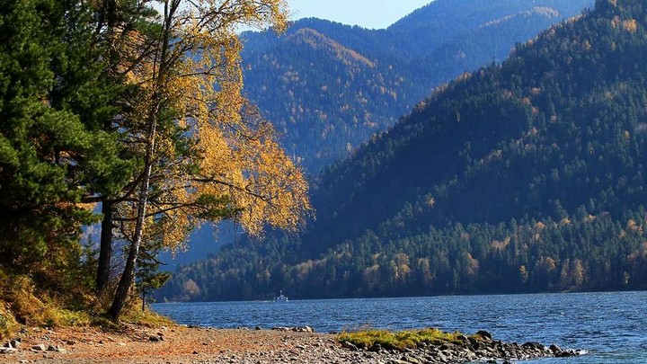 15 красивых фотографий осени в Алтайском крае Фото №1