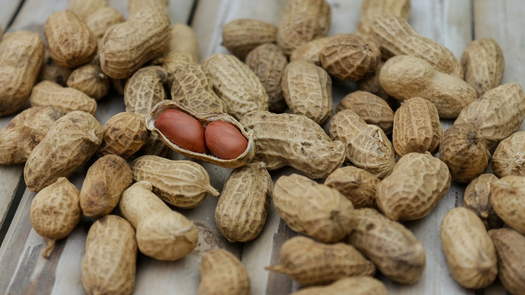 Ешьте регулярно. Ученые рассказали о продукте, который снижает риск инсульта Фото №1