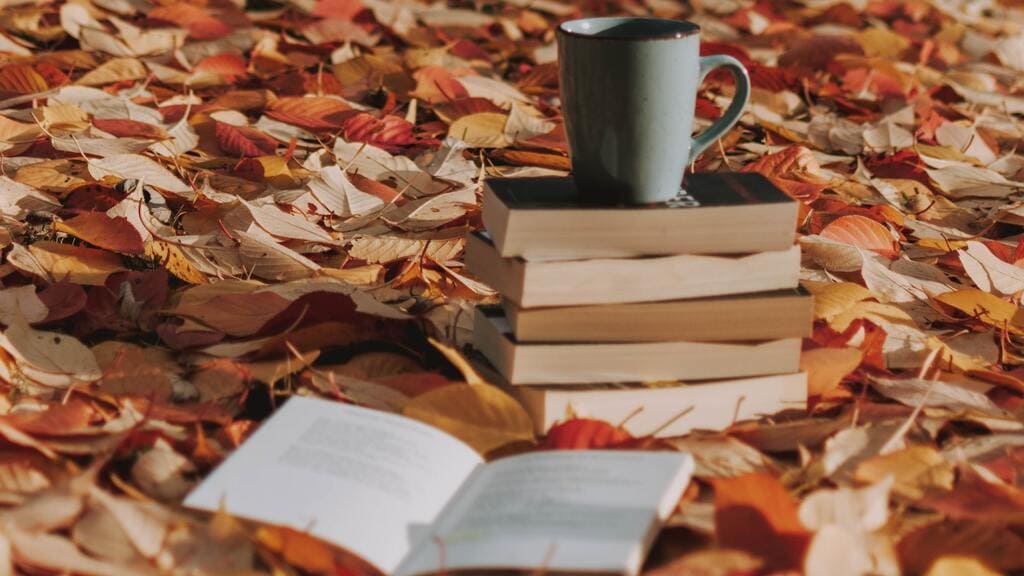 В Алтайский край возвращается 20-градусное тепло Фото №1