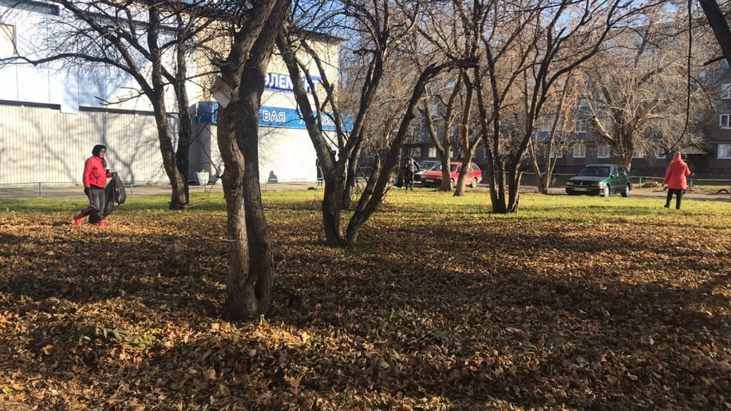В Барнауле подвели итоги осеннего месячника санитарной очистки и благоустройства Фото №1