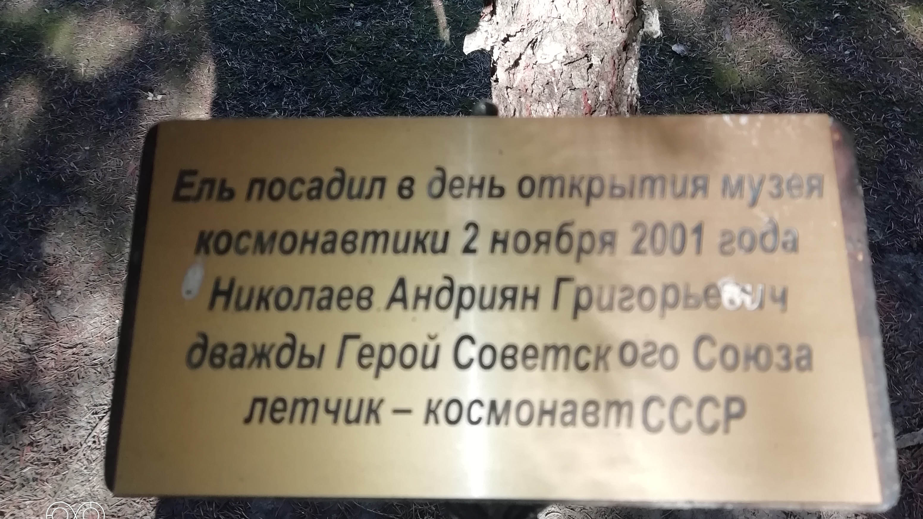 Чувашское чудо и Роза для Маленького принца Фото №7