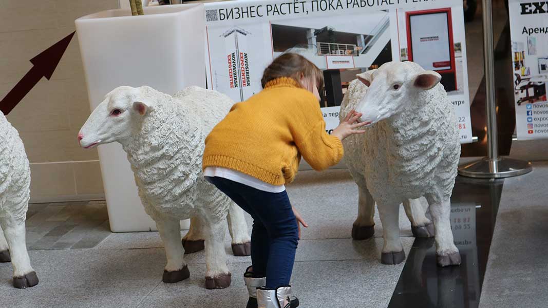 Урожай алтайских сельхозпредприятий поразил участников выставки «Сибирская аграрная неделя» Фото №2