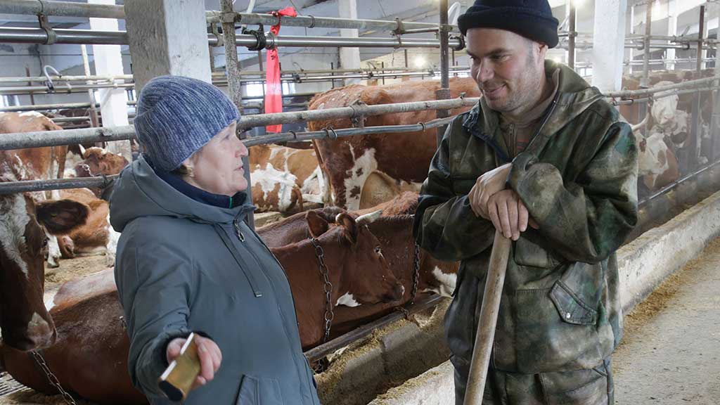 АО «Племенной репродуктор «Чистюньский» уверенно вошло в зимовку скота Фото №2
