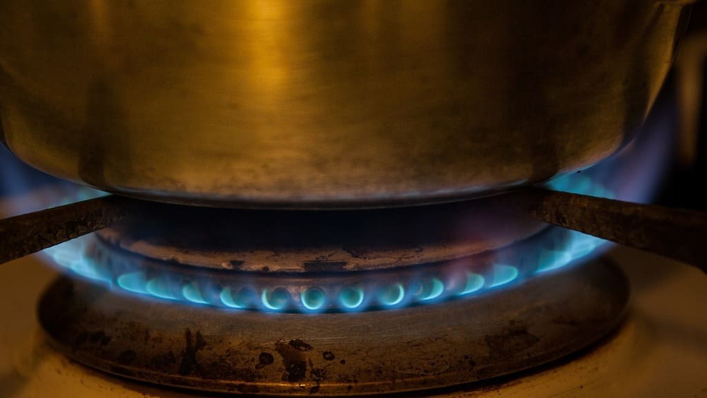 В селе Ребриха Алтайского края завершено строительство магистрального газопровода Фото №1