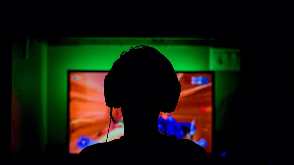 Компьютерную игроманию признали новым видом психического расстройства Фото №1