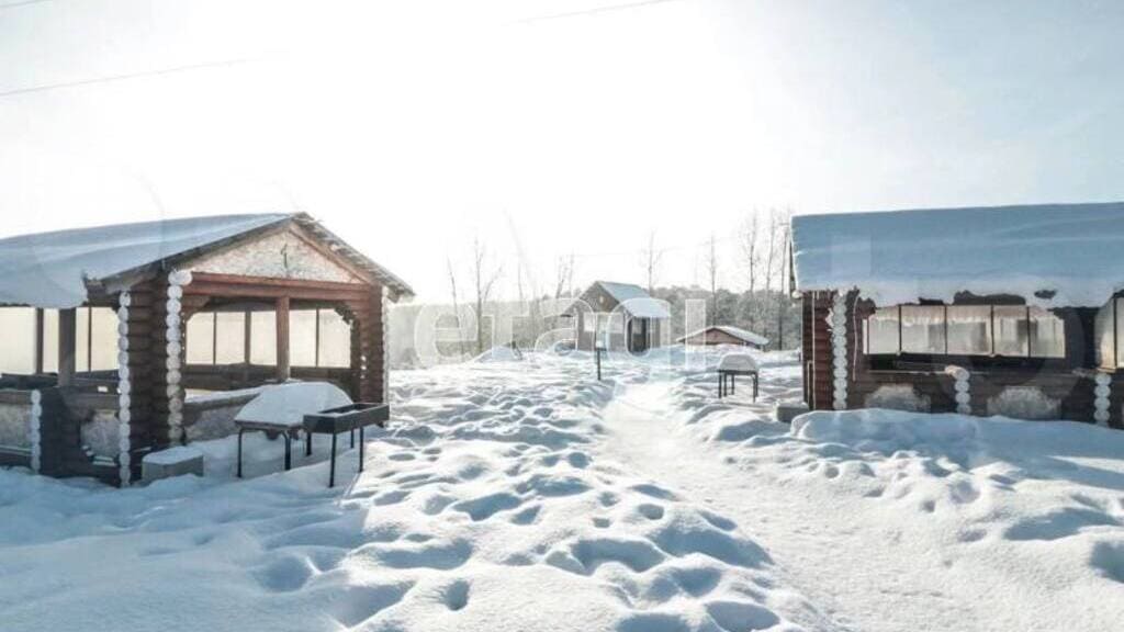 В Барнауле продают популярную базу отдыха в Ленточном бору Фото №1