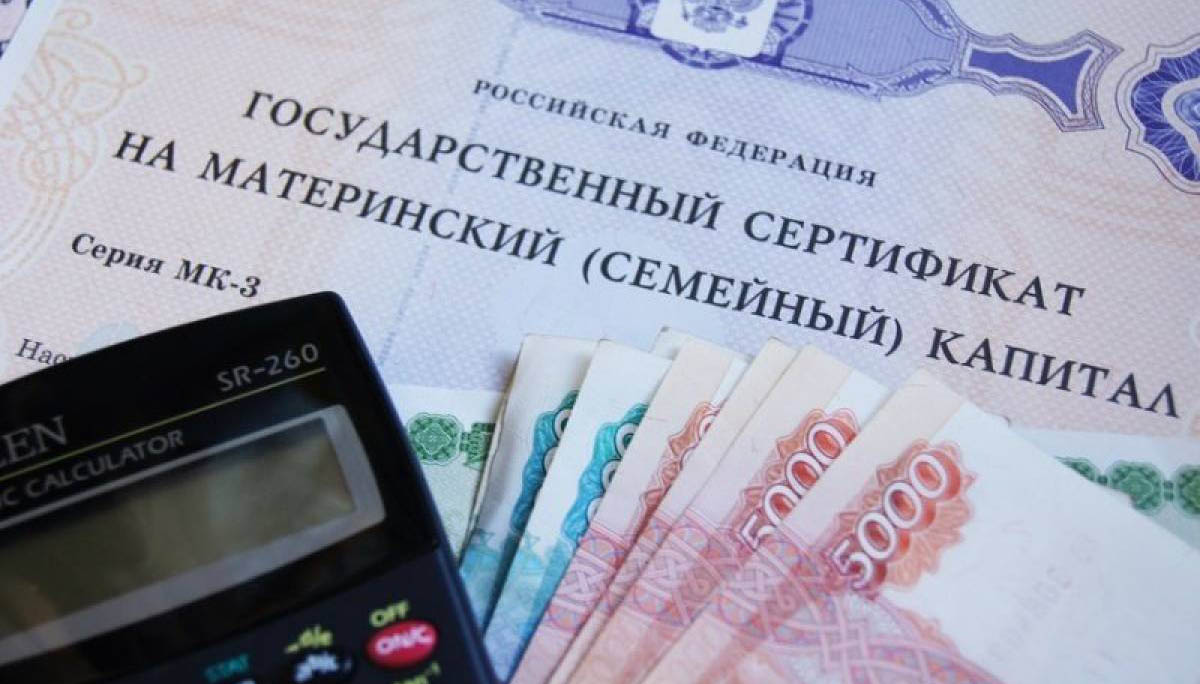 «Единая Россия»: В феврале маткапитал будет проиндексирован по фактической инфляции, а должники могут защитить от списания минимальный гарантированный доход Фото №1