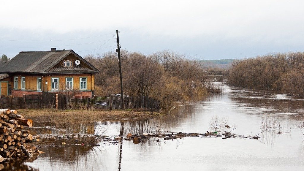 В Алтайском крае 83 населенных пункта подвержены подтоплению Фото №1