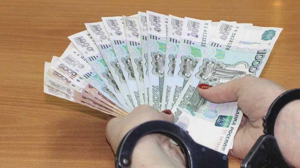 Жительница Барнаула обвиняется в «отмывании» похищенных 14 миллионов рублей Фото №1