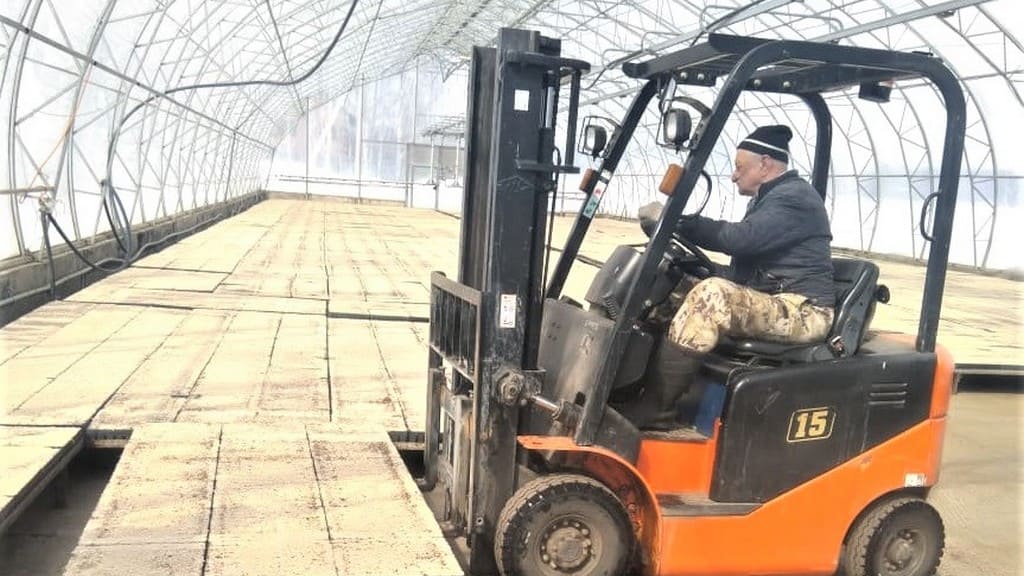 Теплицы и саженцы: в Алтайском крае стартовал новый этап лесовосстановительных работ Фото №2
