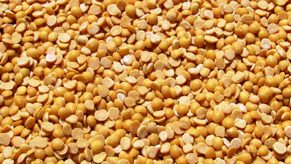 Алтайские продукты направятся на полки Тюменской области Фото №1