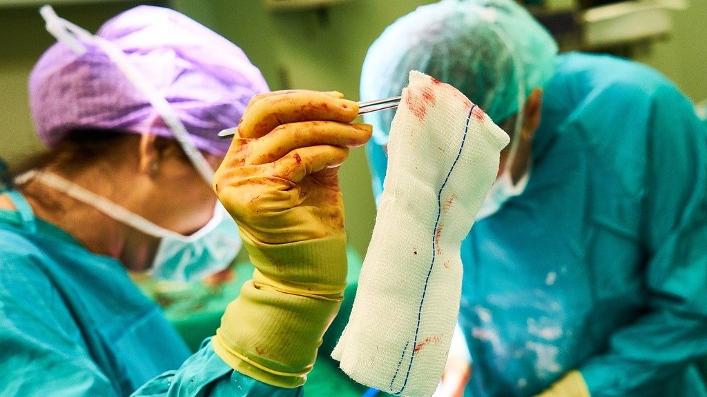 Алтайские ученые создадут биоразлагаемую ранозаживляющую повязку Фото №1