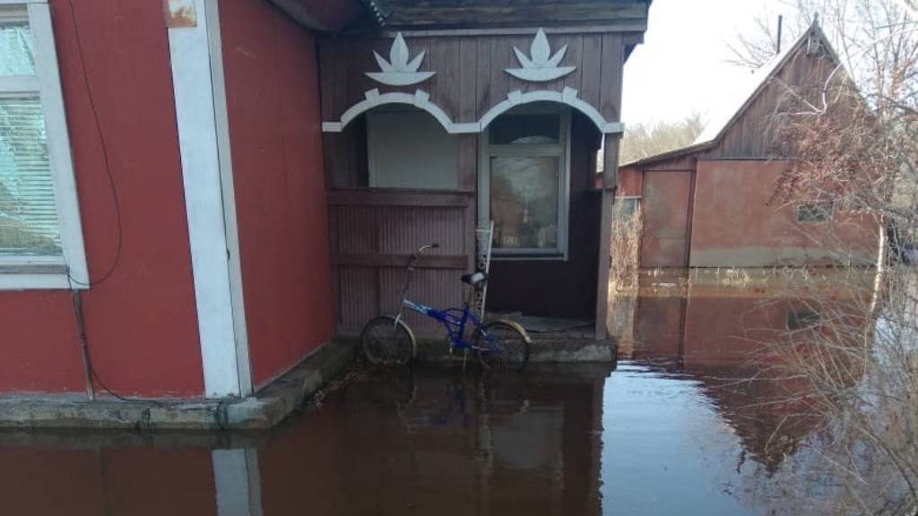 Талые воды затопили поселок в Рубцовском районе Фото №3