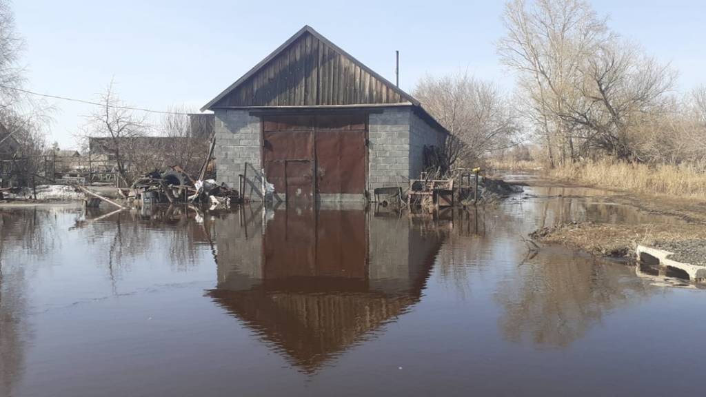Талые воды затопили поселок в Рубцовском районе Фото №2