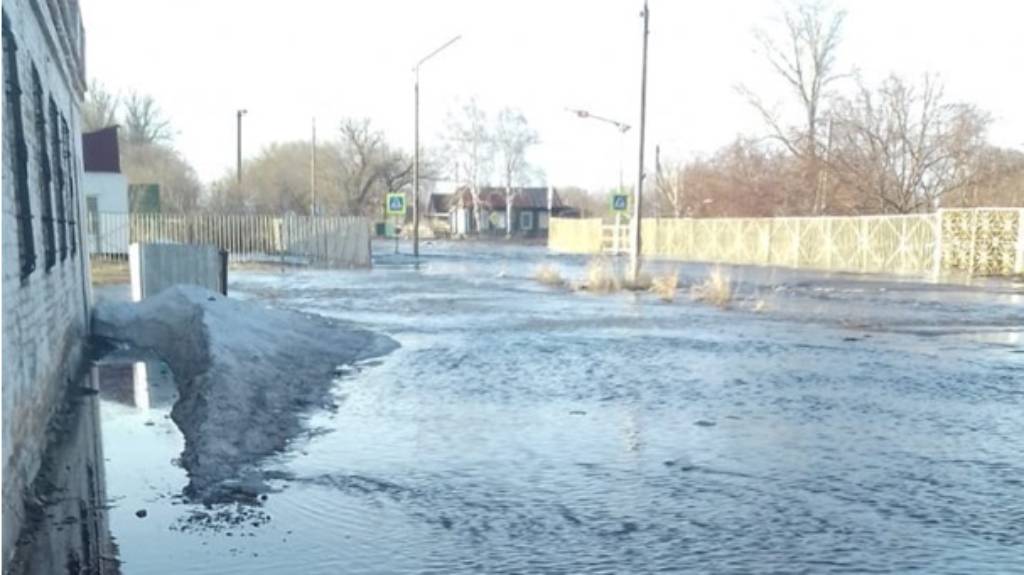 Талые воды заходят в населенные пункты Рубцовского района Фото №1