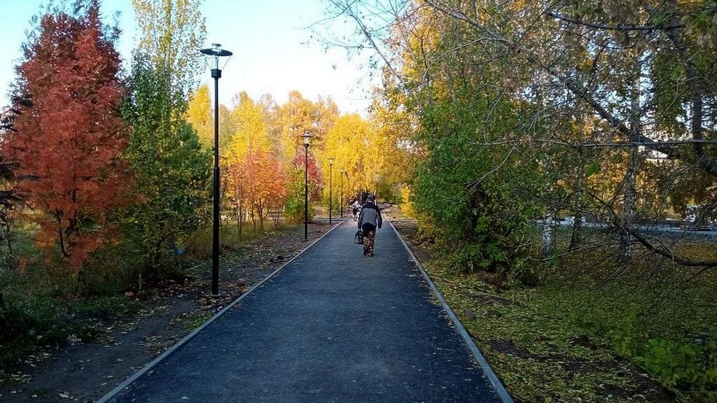 Еще 13 зеленых зон Барнаула участвуют в онлайн-голосовании по благоустройству Фото №1