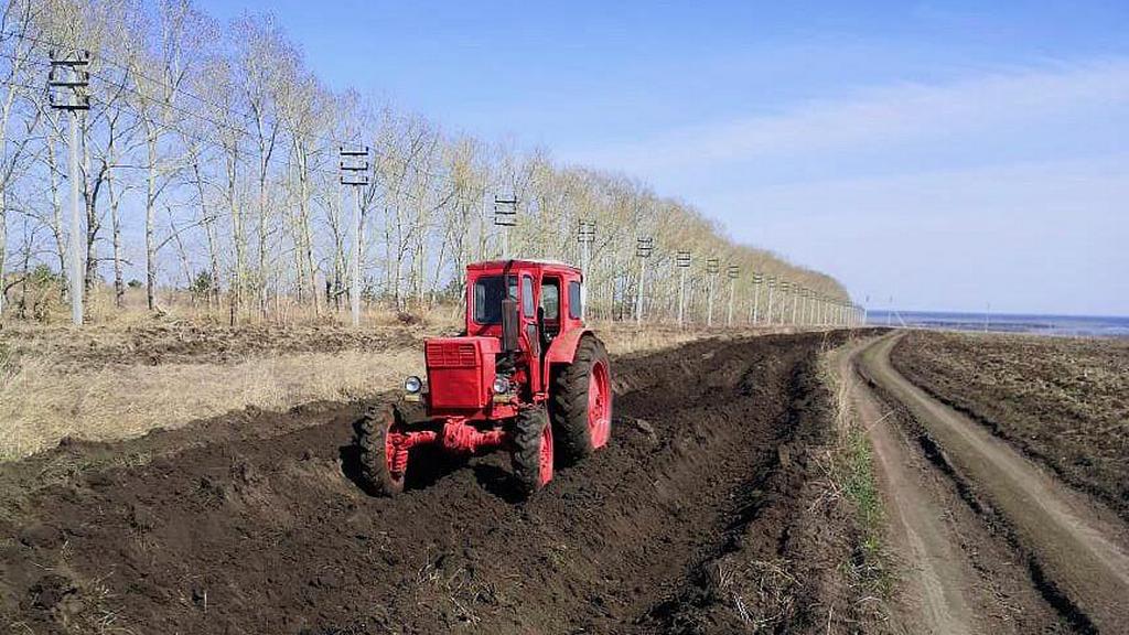 В пригороде Барнаула пропахали более 160 километров противопожарных полос Фото №1