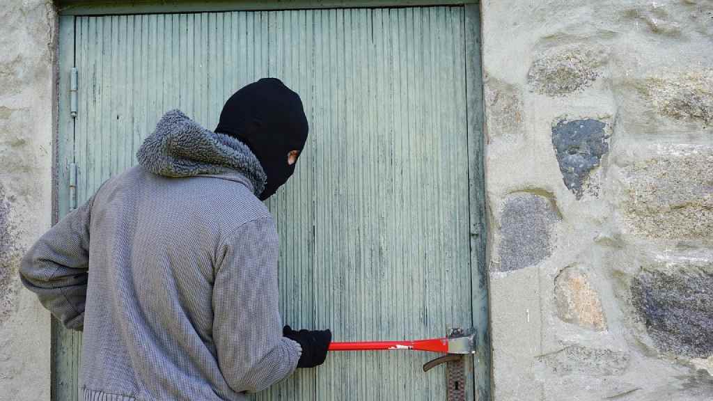 Сотрудники МВД раскрыли личность «домушника» из Чарышского района Фото №1