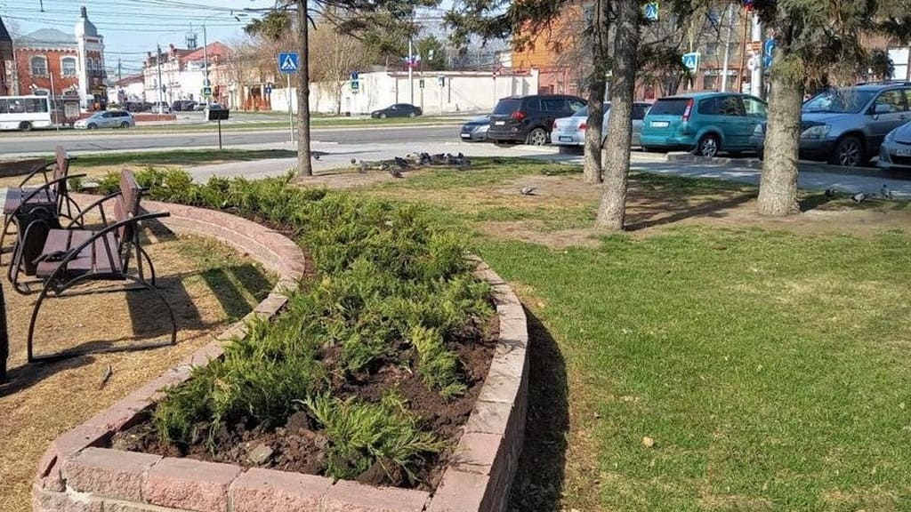 В Барнауле высадили более 1,5 тысячи многолетних растений Фото №2