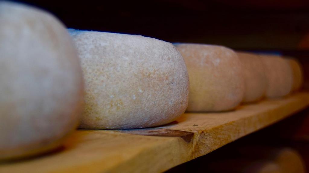 14 мая в Барнауле пройдет завершающая сезон продуктовая ярмарка Фото №1