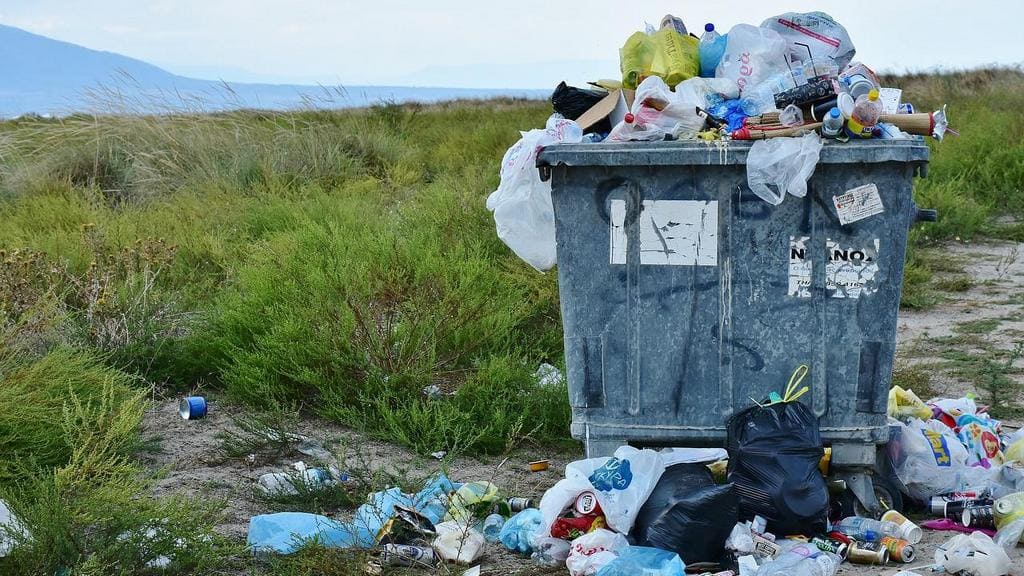 В Общественной палате Алтайского края обсудят вопросы обращения с отходами Фото №1