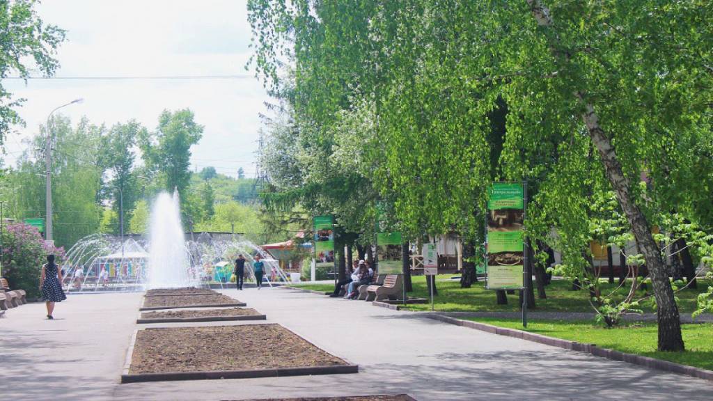 Жители Барнаула могут проголосовать за благоустройство «Центрального» парка Фото №2