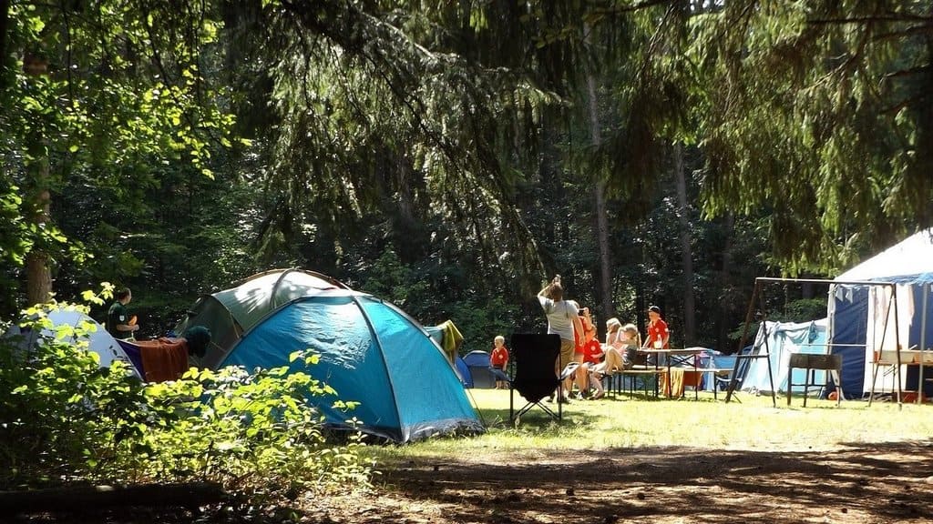 Спасатели проверят свыше 800 детских лагерей в Алтайском крае перед началом сезона Фото №1