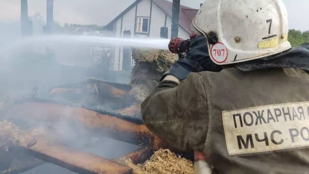 Пятнадцать человек спасли барнаульские пожарные из горящего дома Фото №1