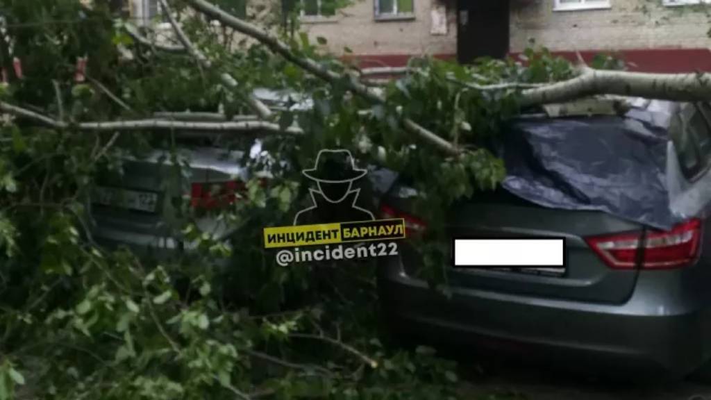 Сильный ветер в Барнауле повредил припаркованные у дома автомобили Фото №1