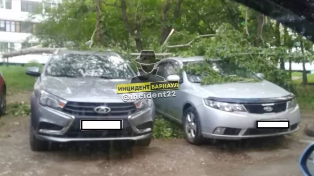 Сильный ветер в Барнауле повредил припаркованные у дома автомобили Фото №2